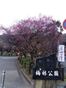 梅林公園 東口