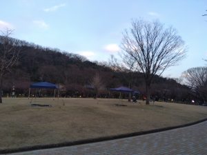 梅林公園 広場 2