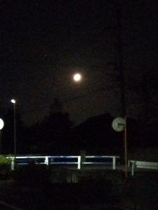 沈む上限の月 アップ