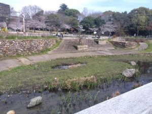 岐阜駅前 公園 映える用水路 2