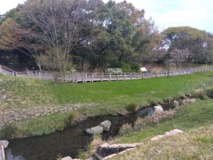 岐阜駅前 公園 映える用水路 3