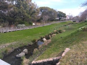 岐阜駅前 公園 映える用水路 4