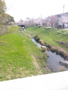 岐阜駅前 公園 映える用水路 5