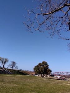 すてきな青空