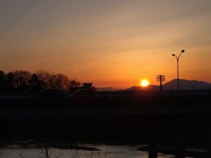 境川堤防の夕日4