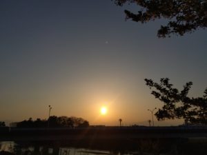 境川堤防の夕日2